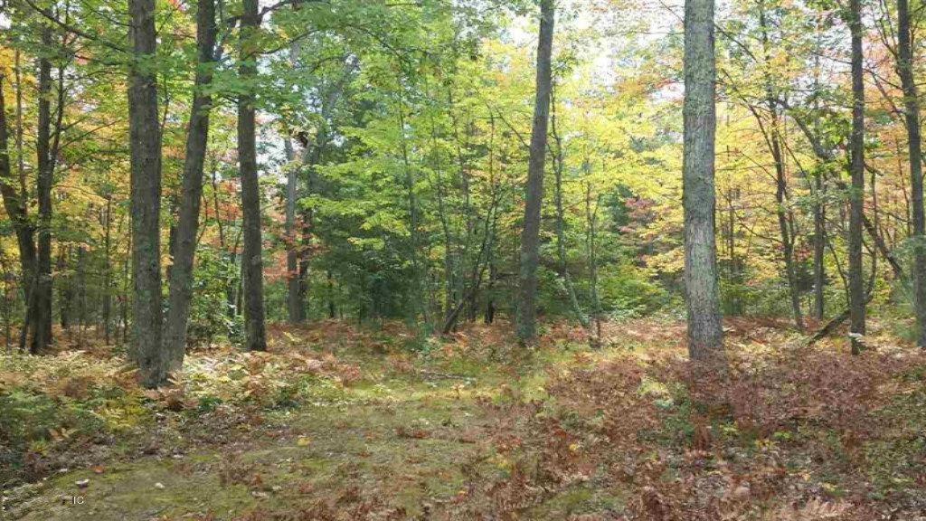 0 North Tuttle Road Free Soil, MI 49411 - Photo 11 of 11 11