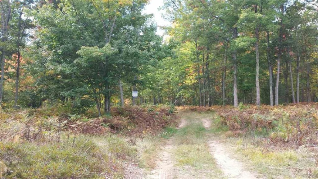 0 North Tuttle Road Free Soil, MI 49411 - Photo 2 of 11 2