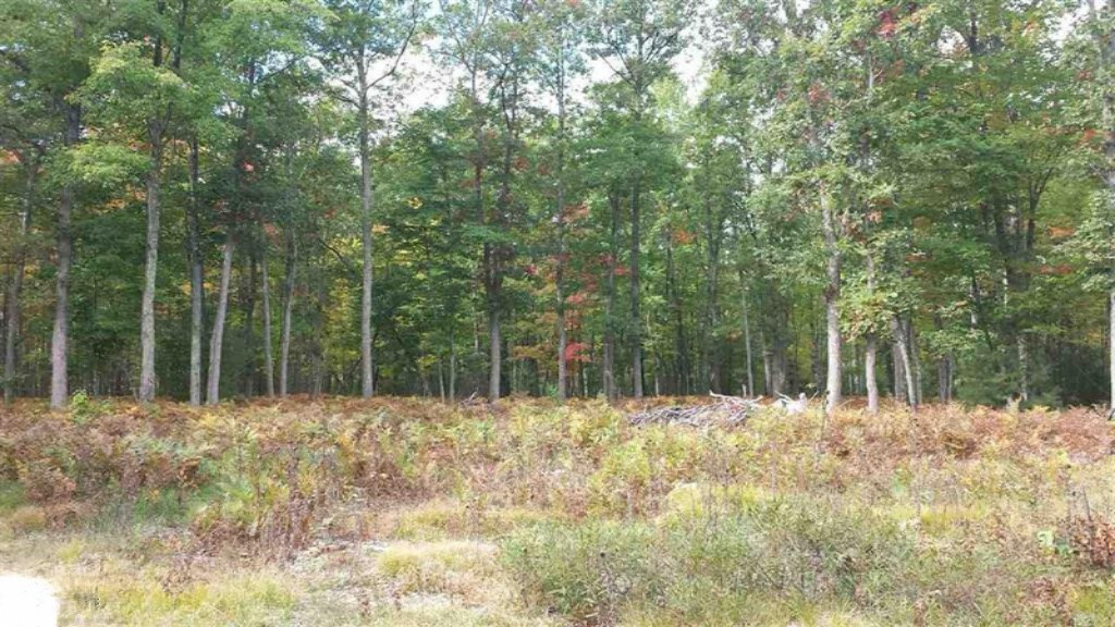 0 North Tuttle Road Free Soil, MI 49411 - Photo 3 of 11 3