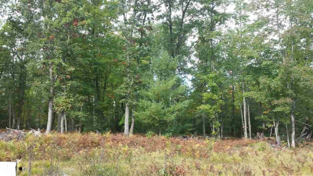 0 North Tuttle Road Free Soil, MI 49411 - Photo 4 of 11 4