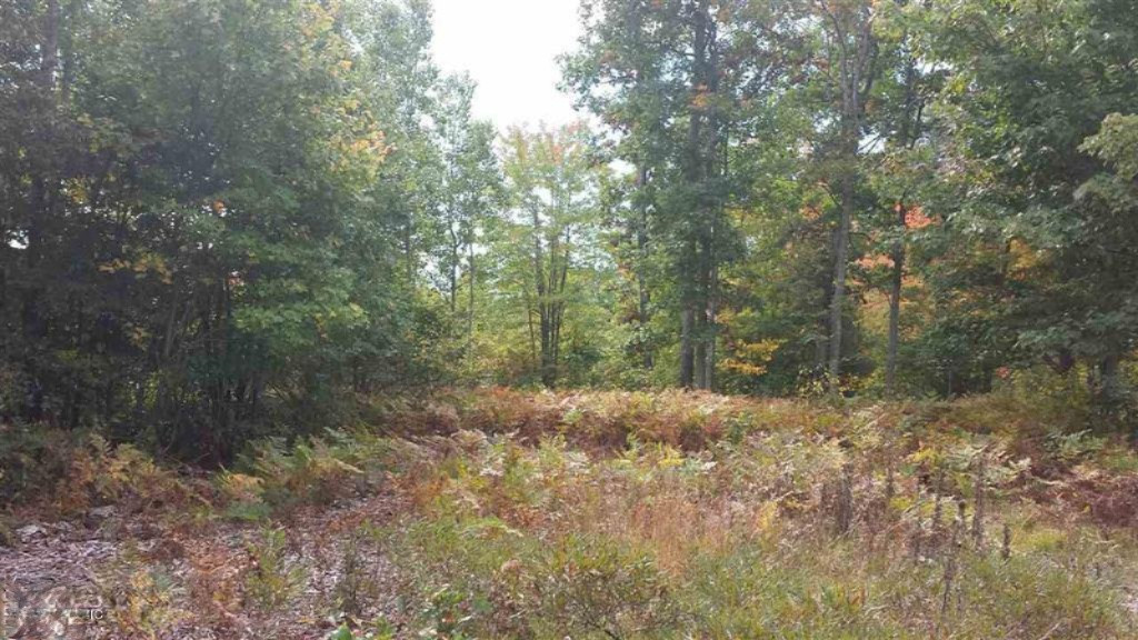 0 North Tuttle Road Free Soil, MI 49411 - Photo 5 of 11 5