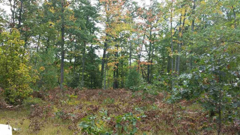 0 North Tuttle Road Free Soil, MI 49411 - Photo 7 of 11 7
