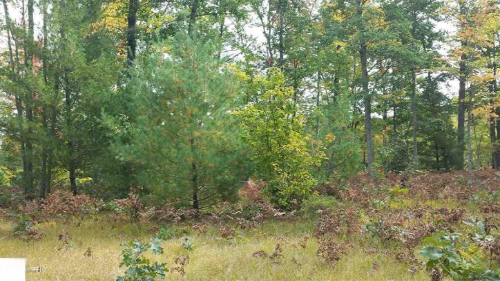 0 North Tuttle Road Free Soil, MI 49411 - Photo 8 of 11 8