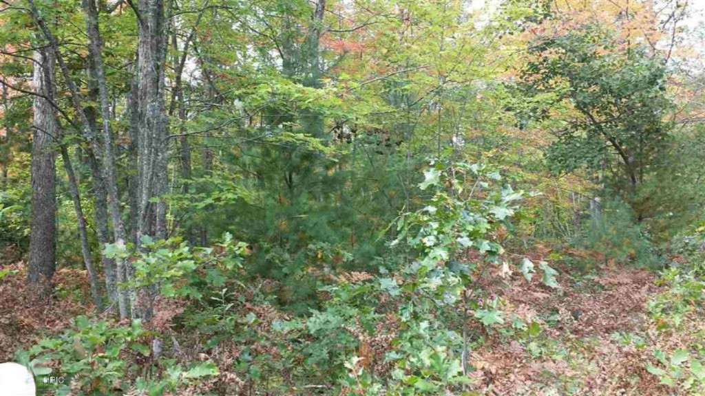 0 North Tuttle Road Free Soil, MI 49411 - Photo 9 of 11 9