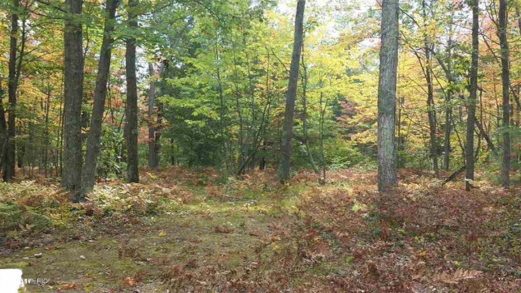 0 North Tuttle Road Free Soil, MI 49411 - Photo 10 of 11 10
