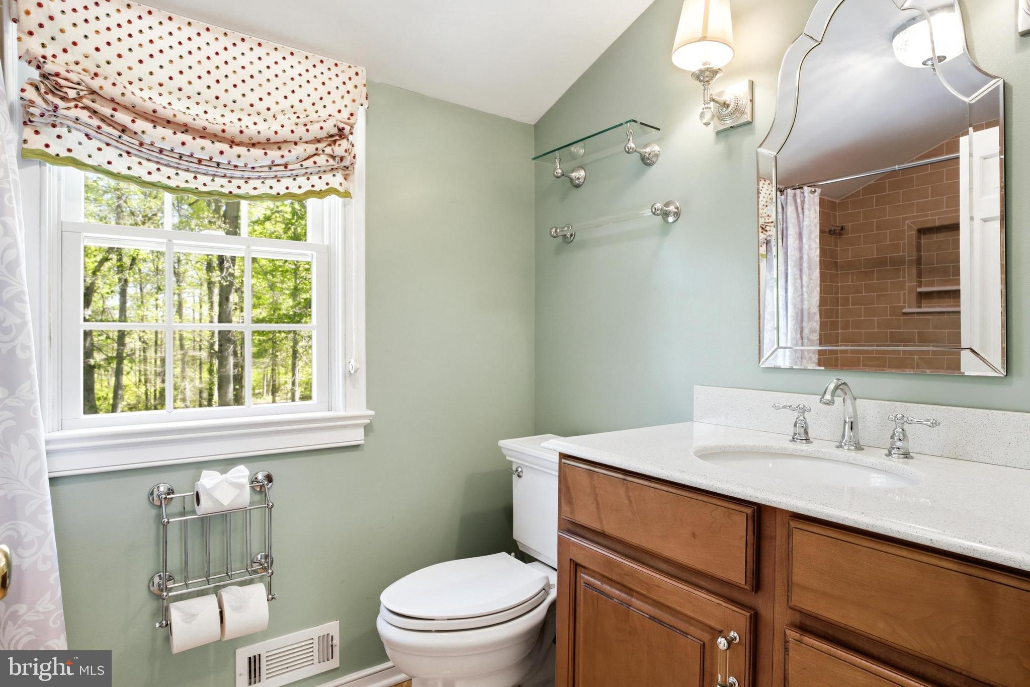 4511 Province Line Road Princeton, NJ 08540 - Photo 15 of 34 a bathroom with a sink vanity mirror and toilet