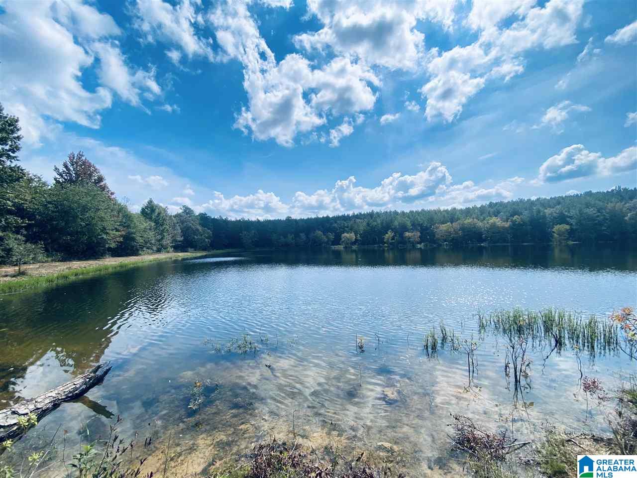 2560 Joe Lee Road, Unit 1 Talladega, AL 35160 - Photo 14 of 35