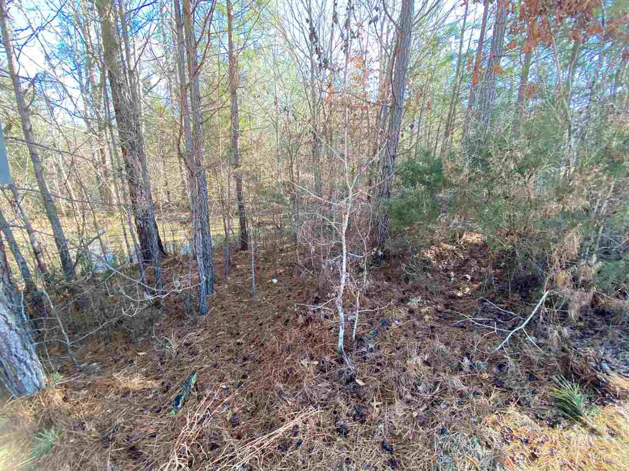 0 Martin Road Reagan, TN 38368 - Photo 11 of 18