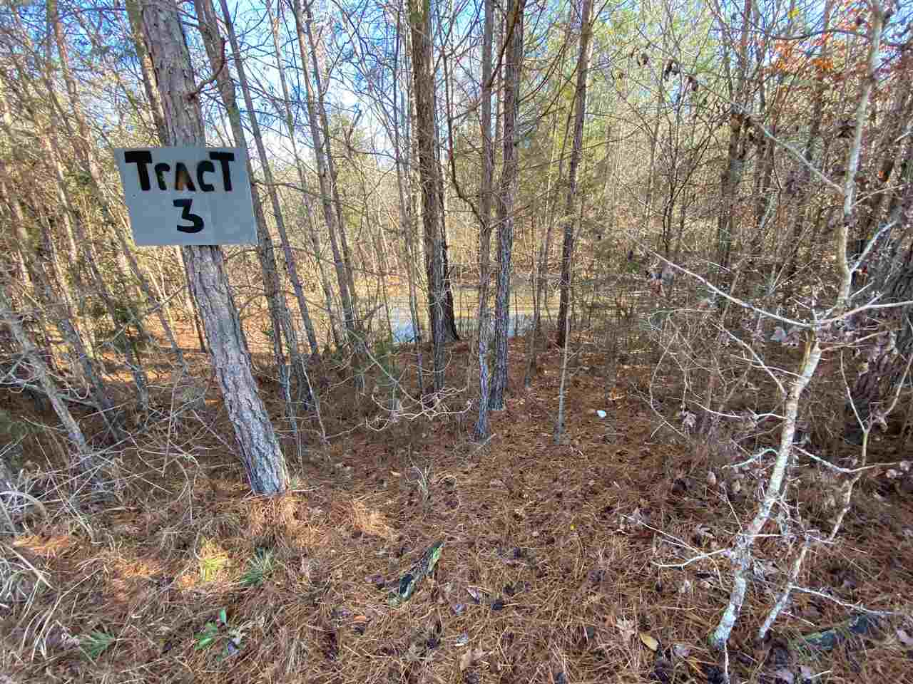 0 Martin Road Reagan, TN 38368 - Photo 12 of 18