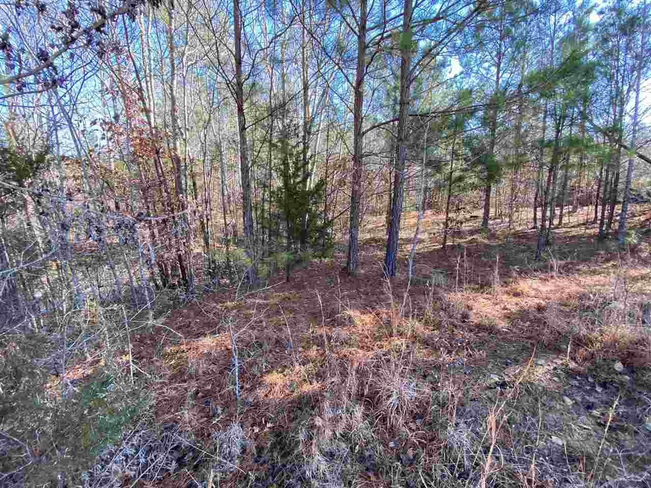 0 Martin Road Reagan, TN 38368 - Photo 13 of 18