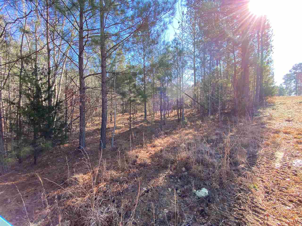 0 Martin Road Reagan, TN 38368 - Photo 14 of 18