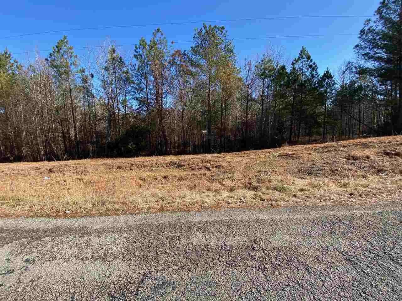 0 Martin Road Reagan, TN 38368 - Photo 15 of 18