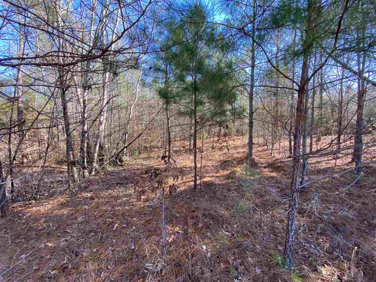 0 Martin Road Reagan, TN 38368 - Photo 16 of 18
