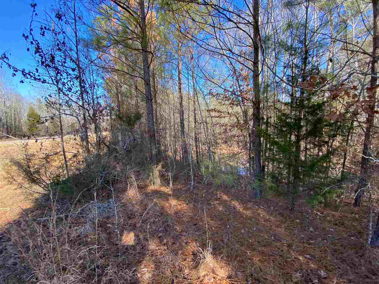0 Martin Road Reagan, TN 38368 - Photo 17 of 18