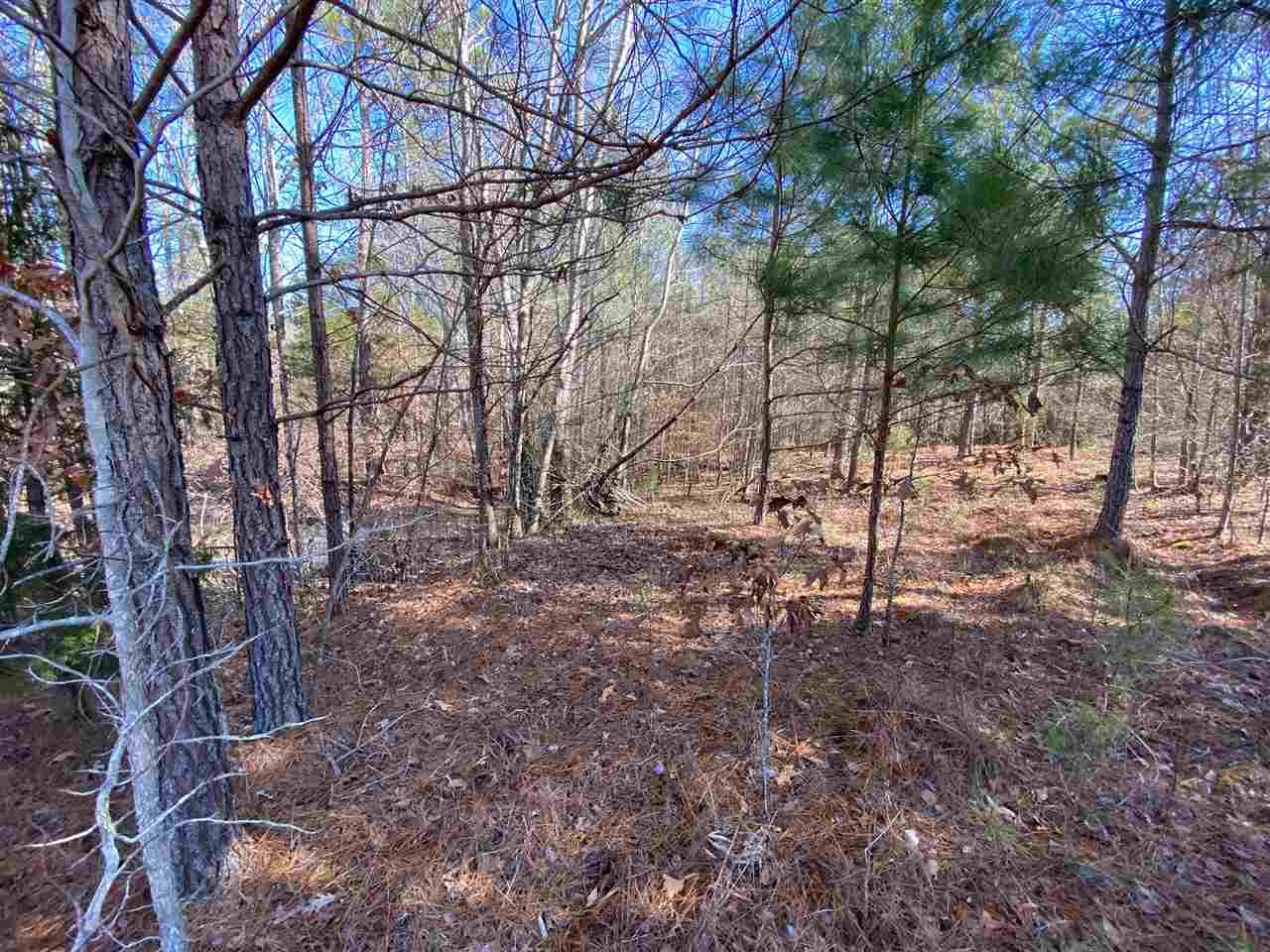 0 Martin Road Reagan, TN 38368 - Photo 3 of 18