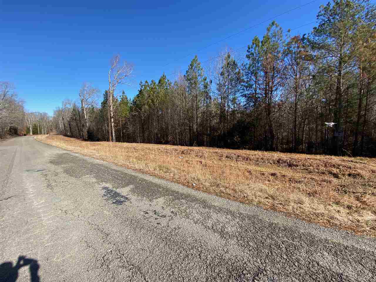0 Martin Road Reagan, TN 38368 - Photo 4 of 18