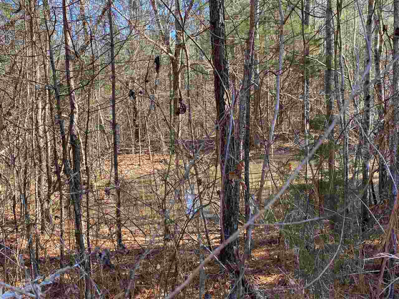 0 Martin Road Reagan, TN 38368 - Photo 6 of 18