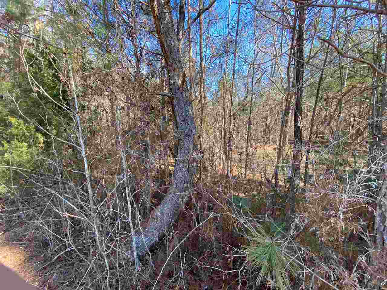 0 Martin Road Reagan, TN 38368 - Photo 7 of 18