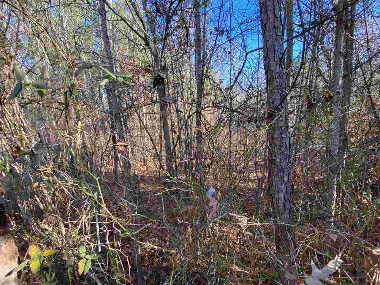 0 Martin Road Reagan, TN 38368 - Photo 8 of 18