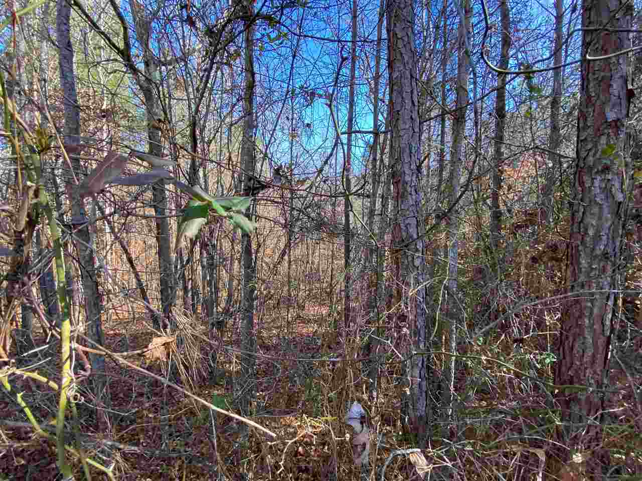 0 Martin Road Reagan, TN 38368 - Photo 9 of 18