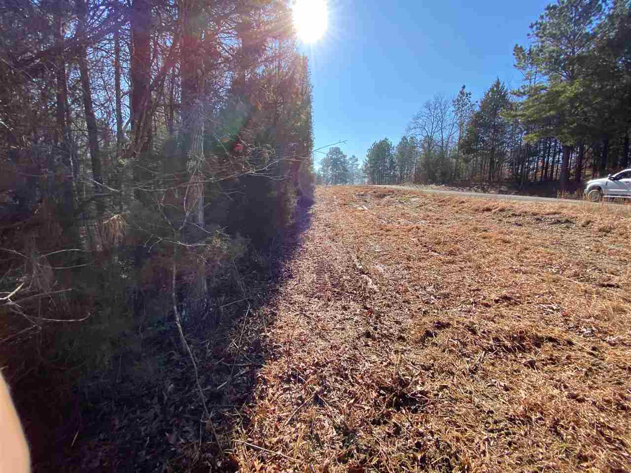 0 Martin Road Reagan, TN 38368 - Photo 10 of 18
