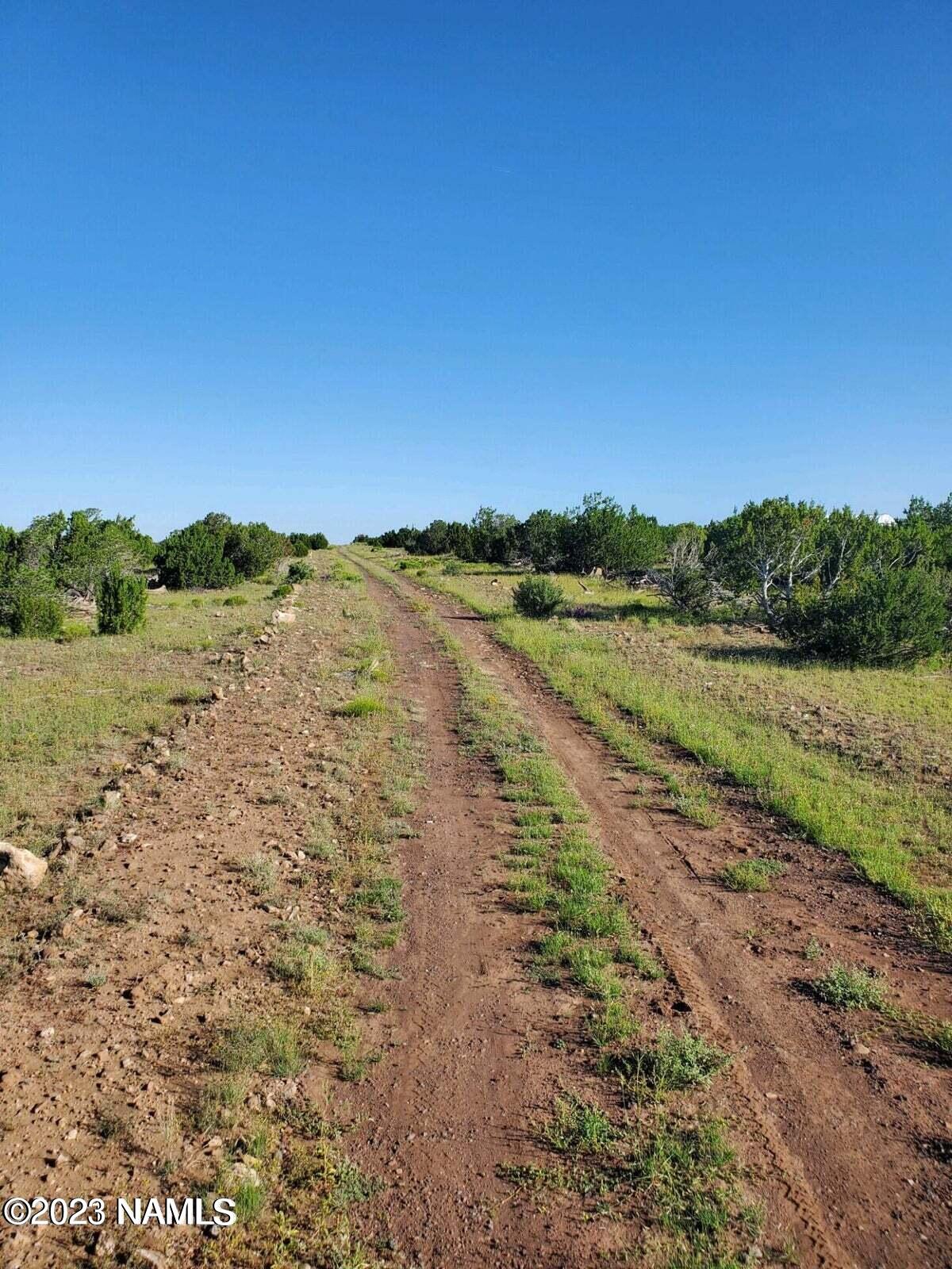 12748 Mesa View Road Williams, AZ 86046 - Photo 11 of 15 Mesa View