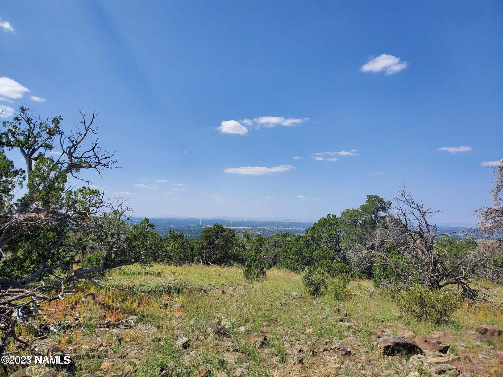 12748 Mesa View Road Williams, AZ 86046 - Photo 13 of 15 Mesa View
