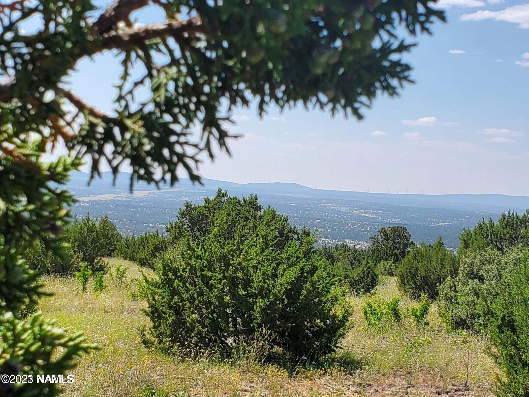 12748 Mesa View Road Williams, AZ 86046 - Photo 15 of 15 Mesa View