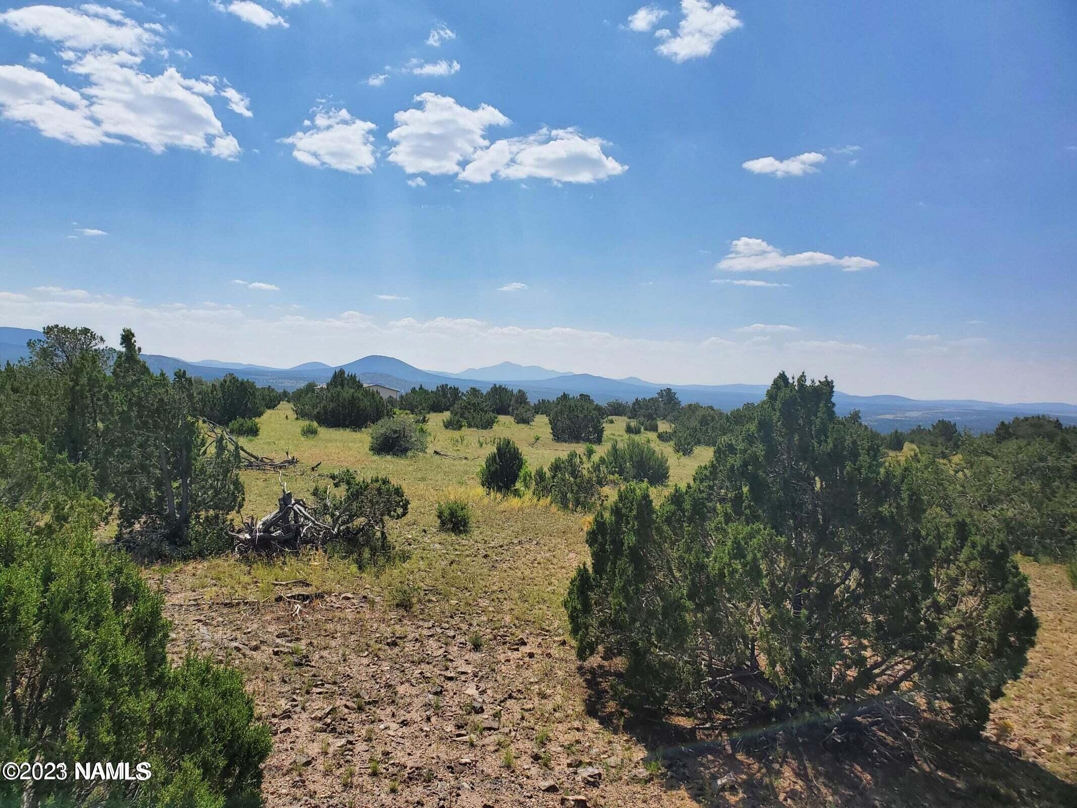 12748 Mesa View Road Williams, AZ 86046 - Photo 4 of 15 Mesa View