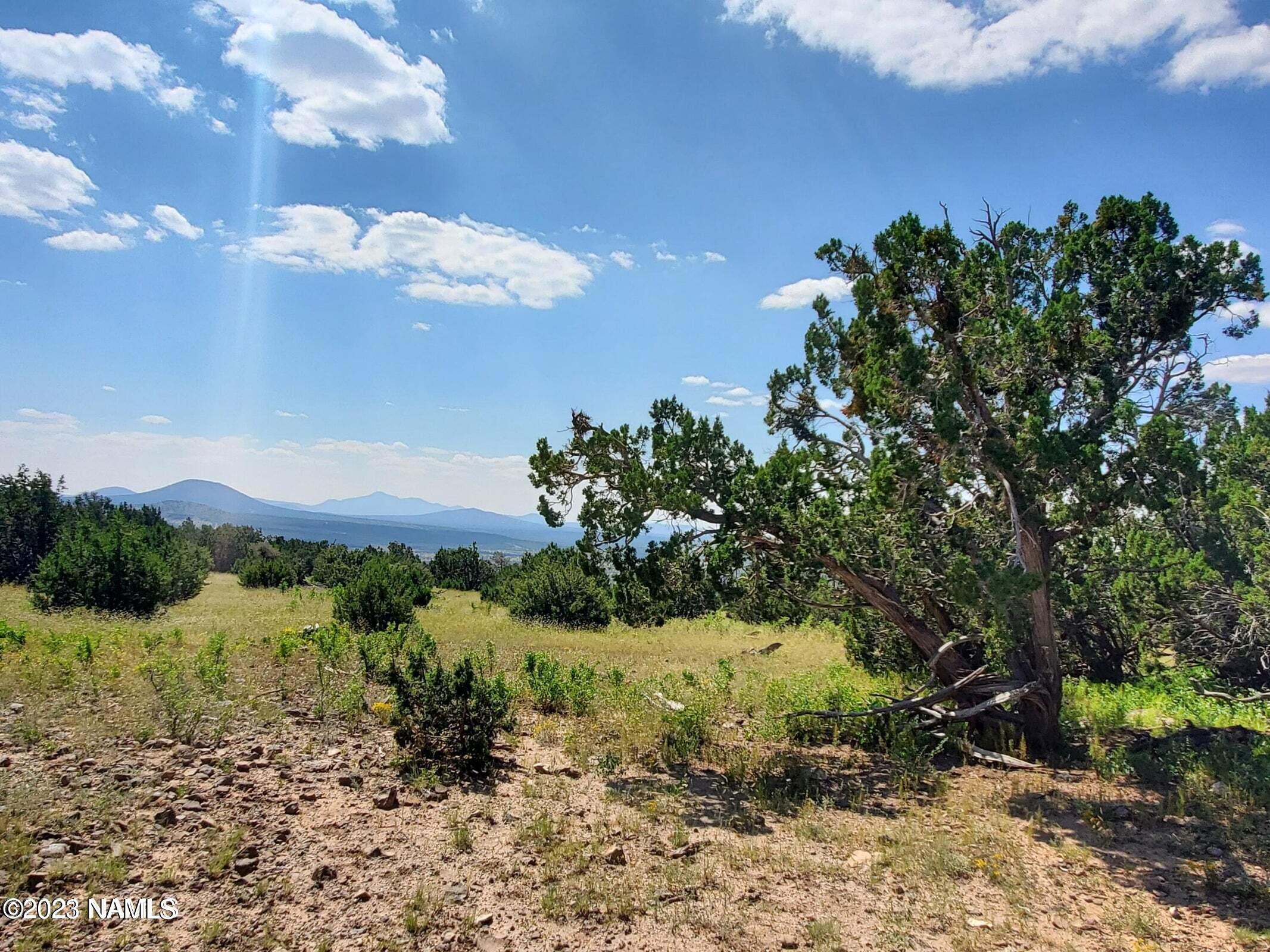 12748 Mesa View Road Williams, AZ 86046 - Photo 5 of 15 Mesa View