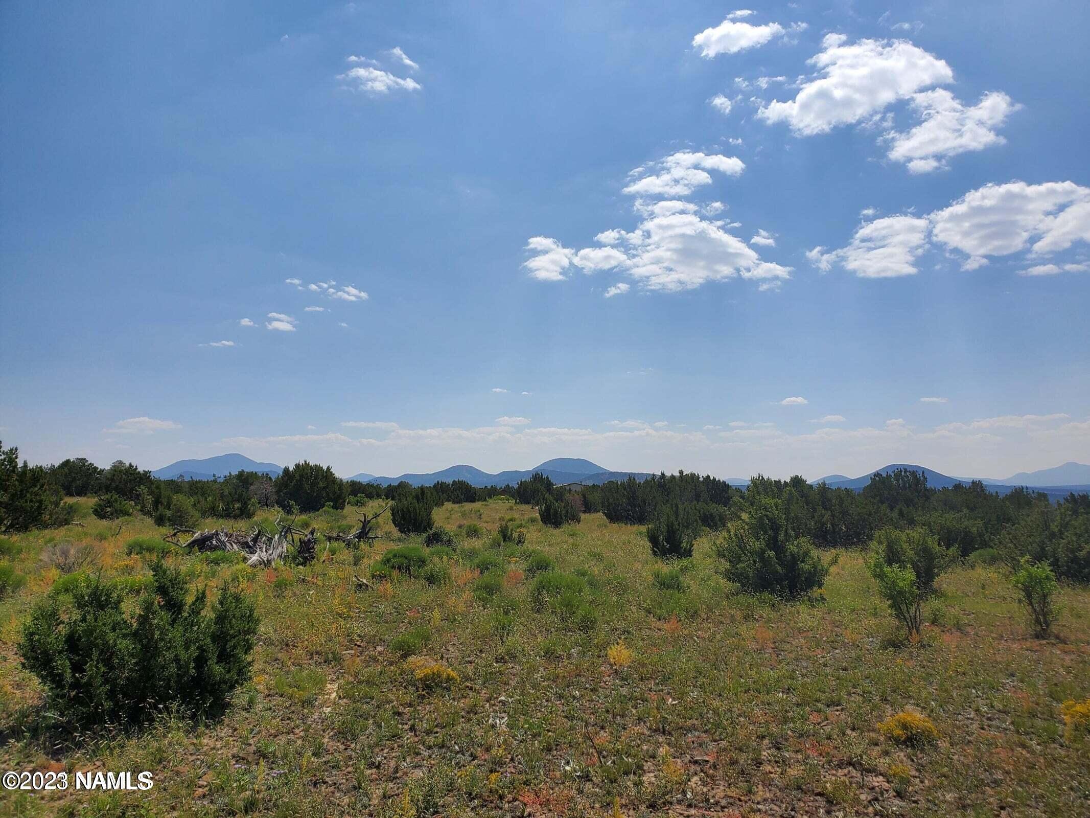 12748 Mesa View Road Williams, AZ 86046 - Photo 6 of 15 Mesa View