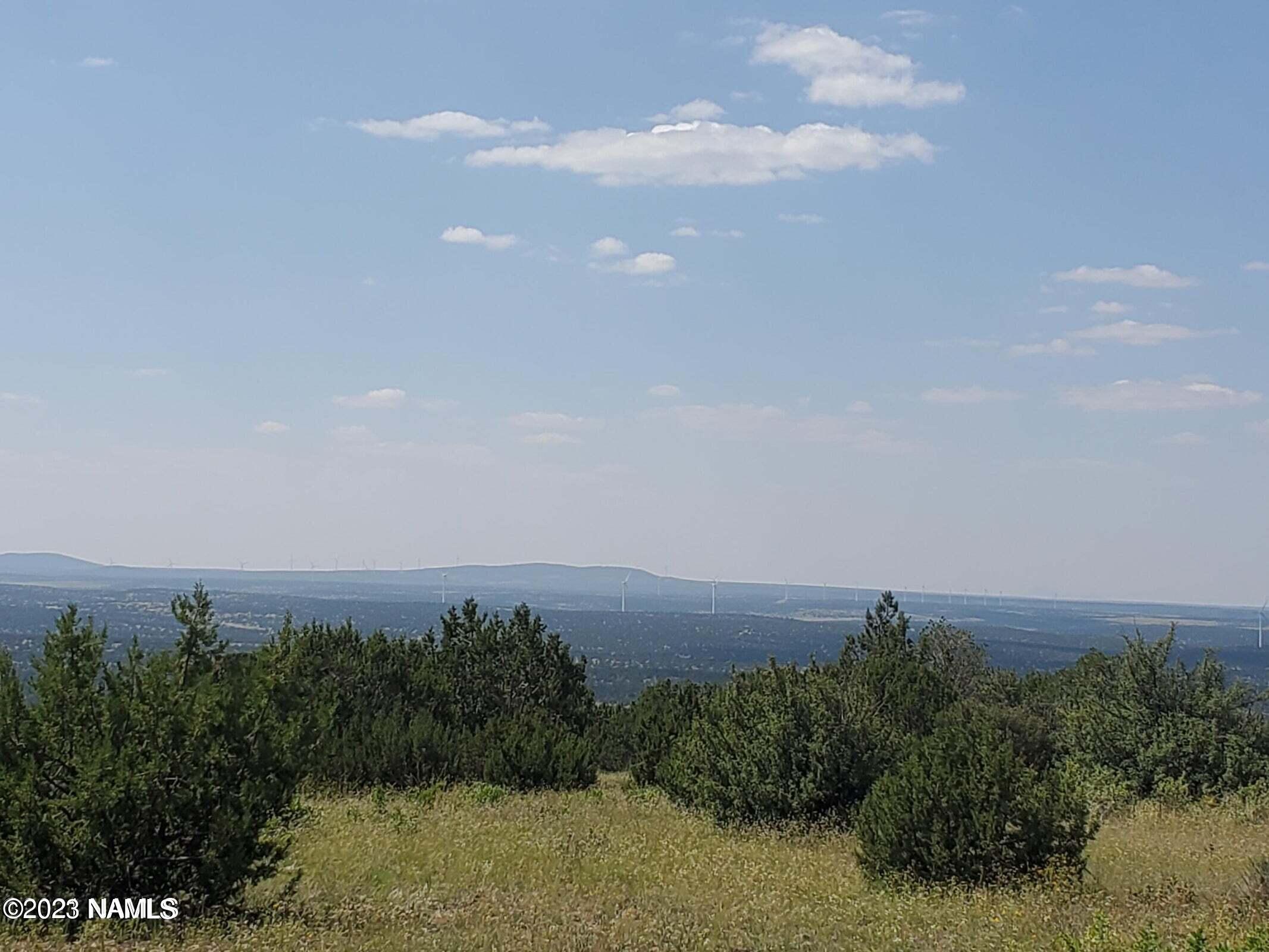 12748 Mesa View Road Williams, AZ 86046 - Photo 9 of 15 Mesa View