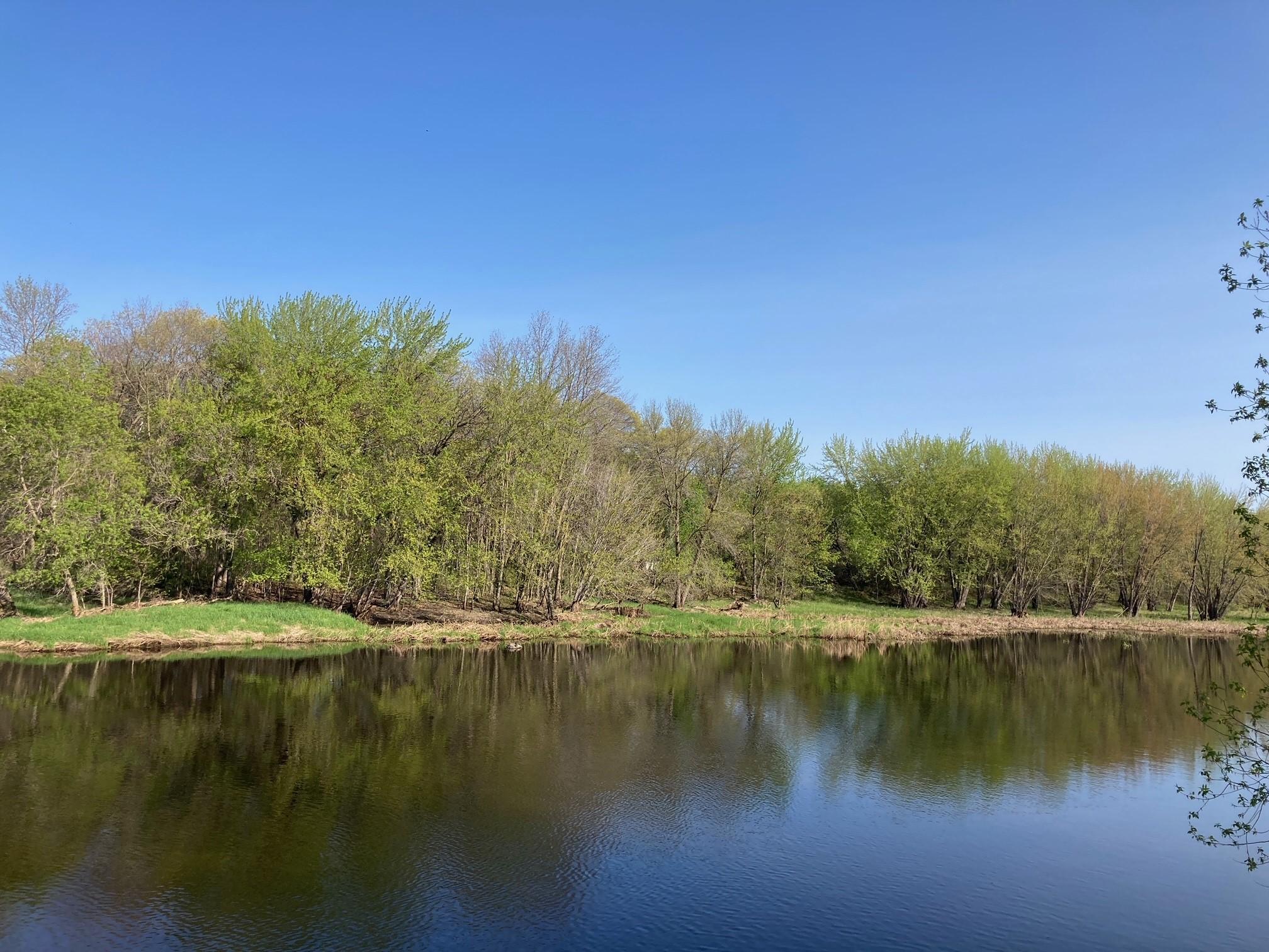 0 Iris Road Little Falls, MN 56345 - Photo 1 of 1 Gallery Image 1