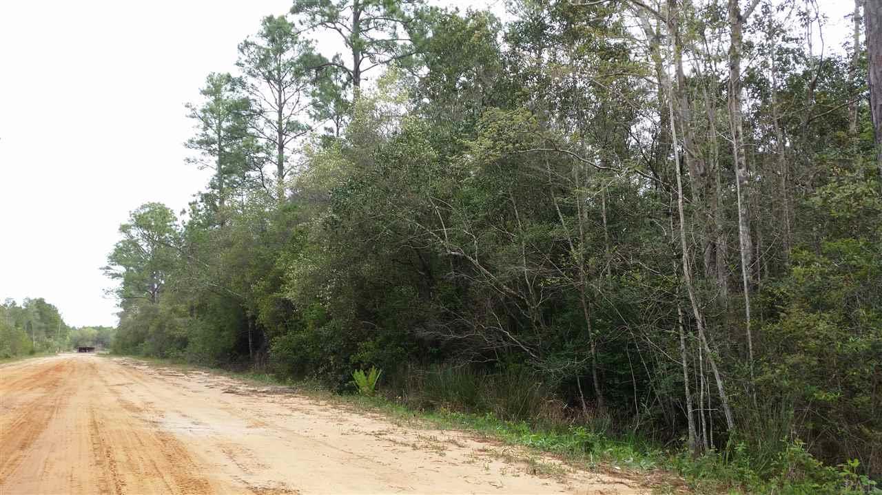 0 Putnam Road Milton, FL 32583 - Photo 1 of 6 Gallery Image 1
