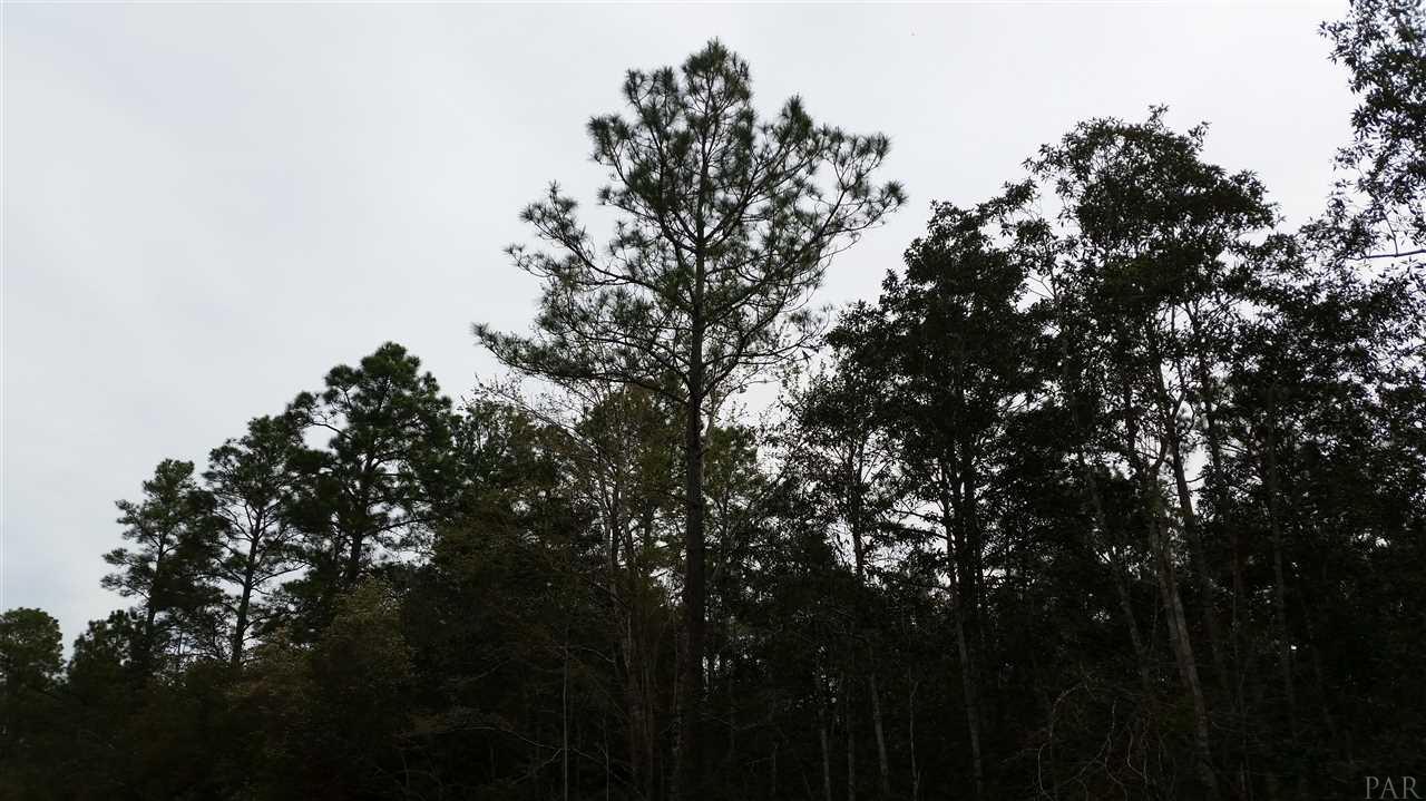 0 Putnam Road Milton, FL 32583 - Photo 2 of 6 Gallery Image 2