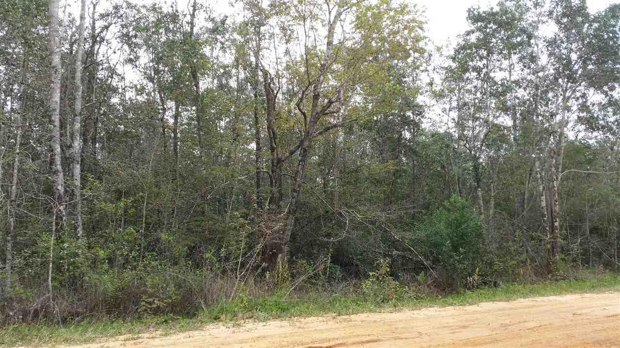 0 Putnam Road Milton, FL 32583 - Photo 3 of 6 Gallery Image 3