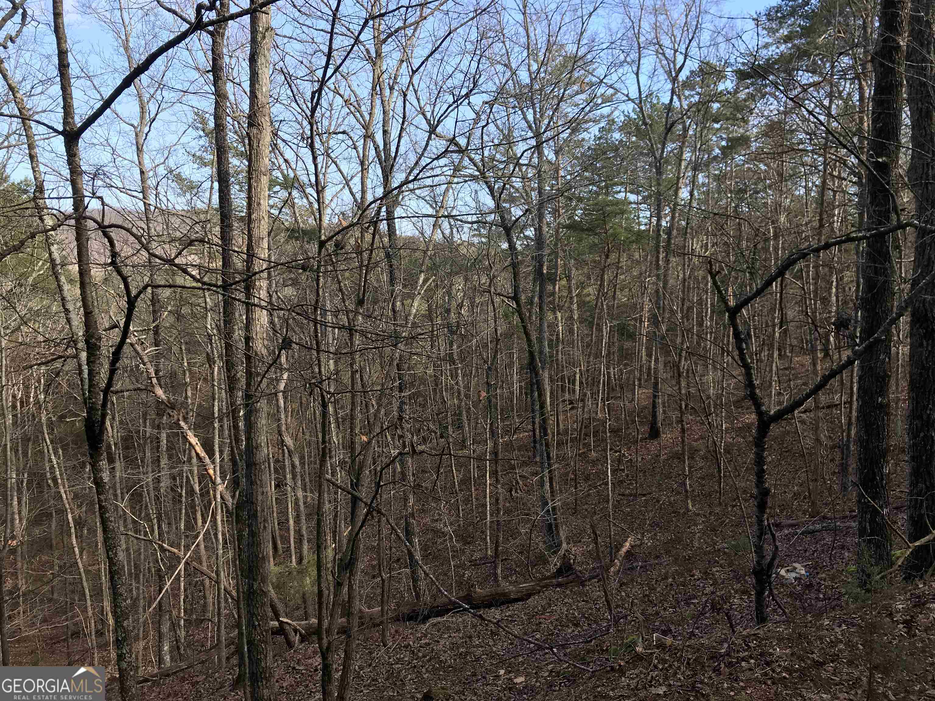 0 Liberty Church Road, Unit 9615 Ranger, GA 30734 - Photo 11 of 35 a view of a yard with large trees