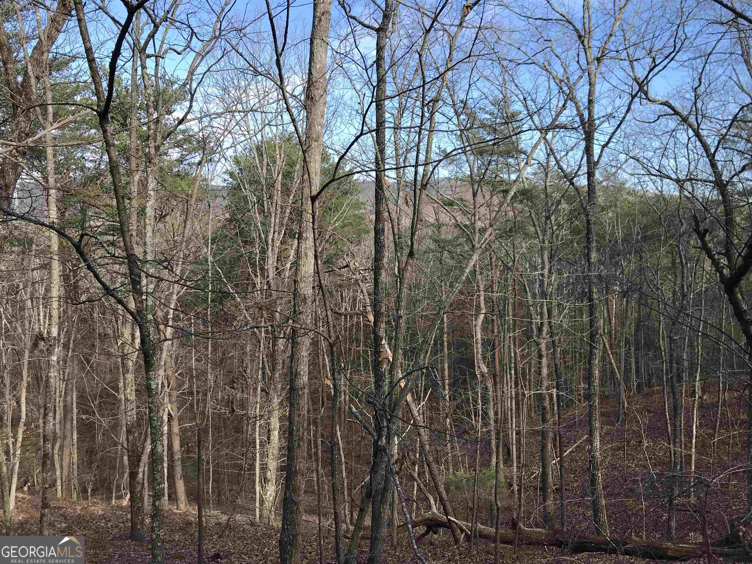 0 Liberty Church Road, Unit 9615 Ranger, GA 30734 - Photo 12 of 35 a view of a yard with large trees