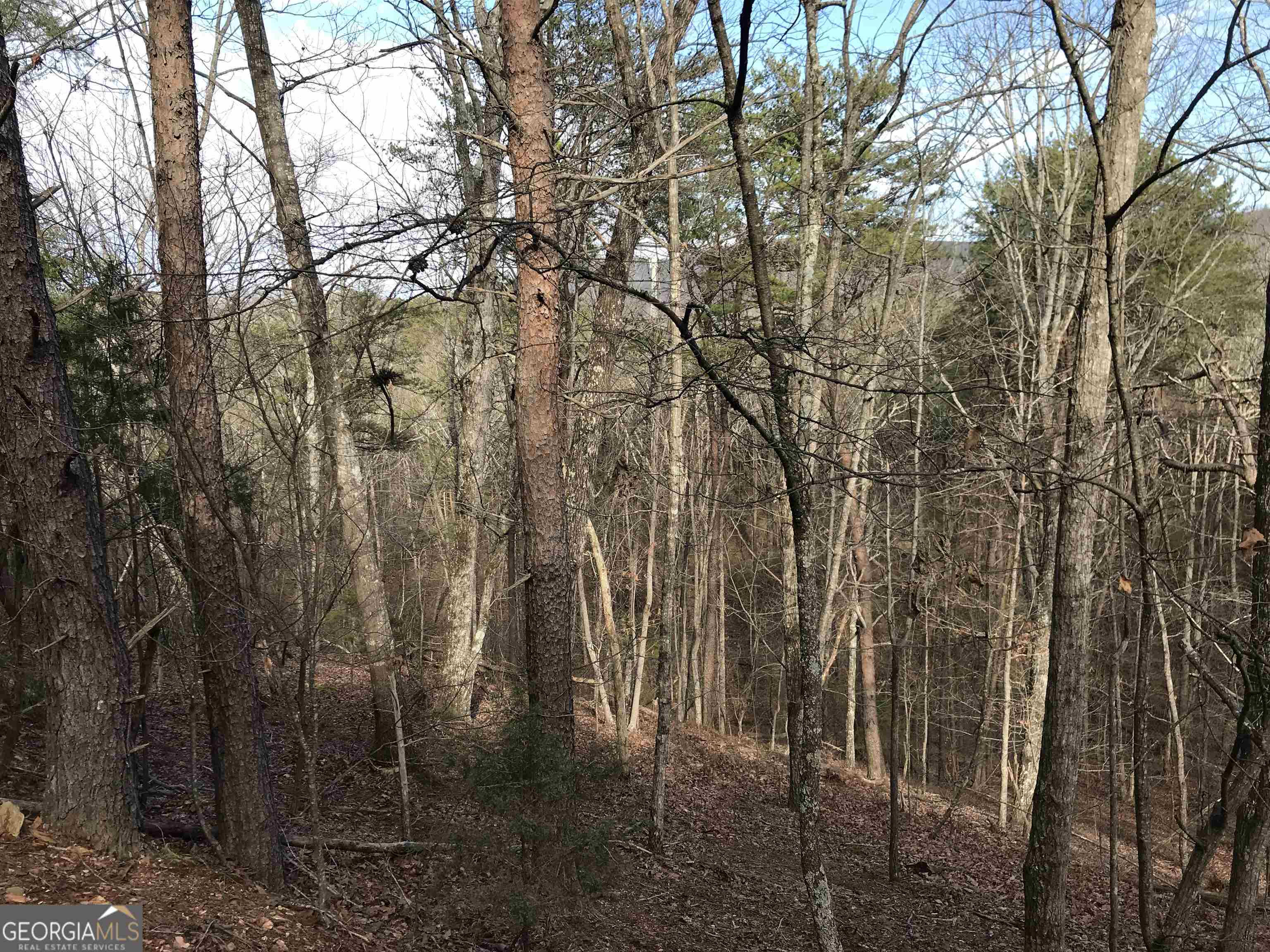 0 Liberty Church Road, Unit 9615 Ranger, GA 30734 - Photo 13 of 35 a backyard of a house with lots of trees