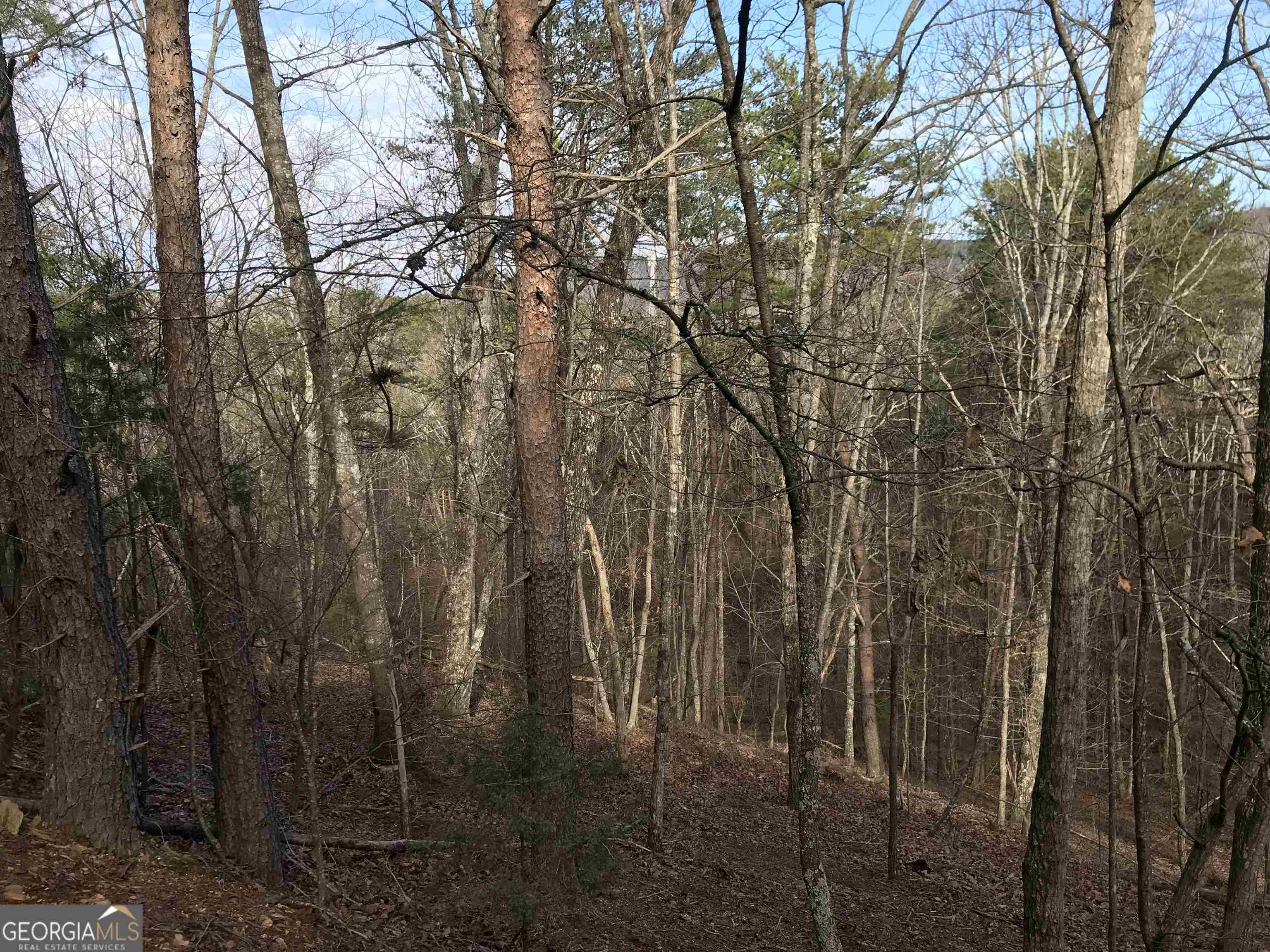 0 Liberty Church Road, Unit 9615 Ranger, GA 30734 - Photo 14 of 35 a view of forest