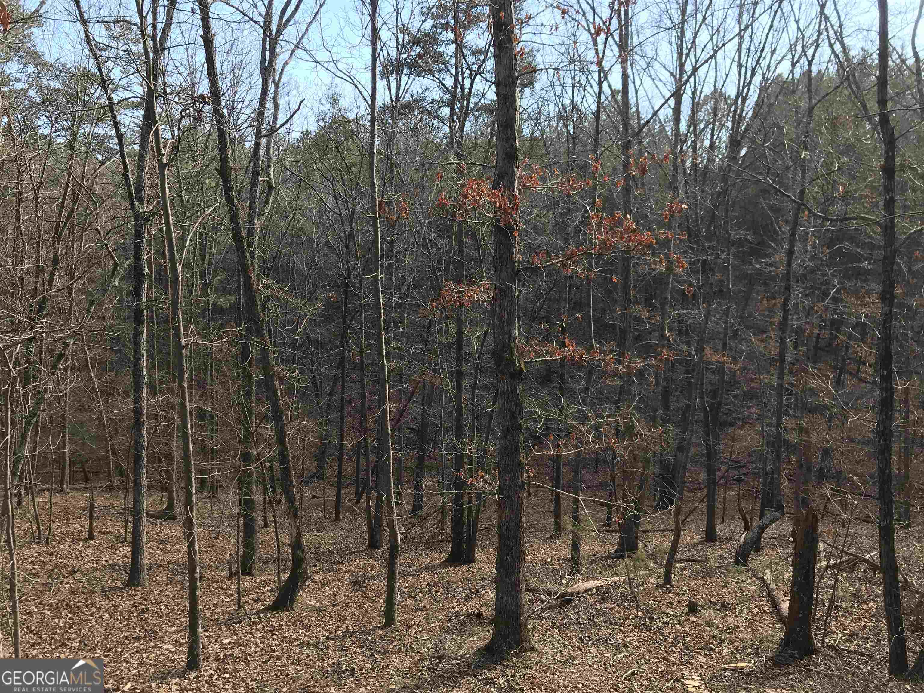 0 Liberty Church Road, Unit 9615 Ranger, GA 30734 - Photo 16 of 35 a view of a forest