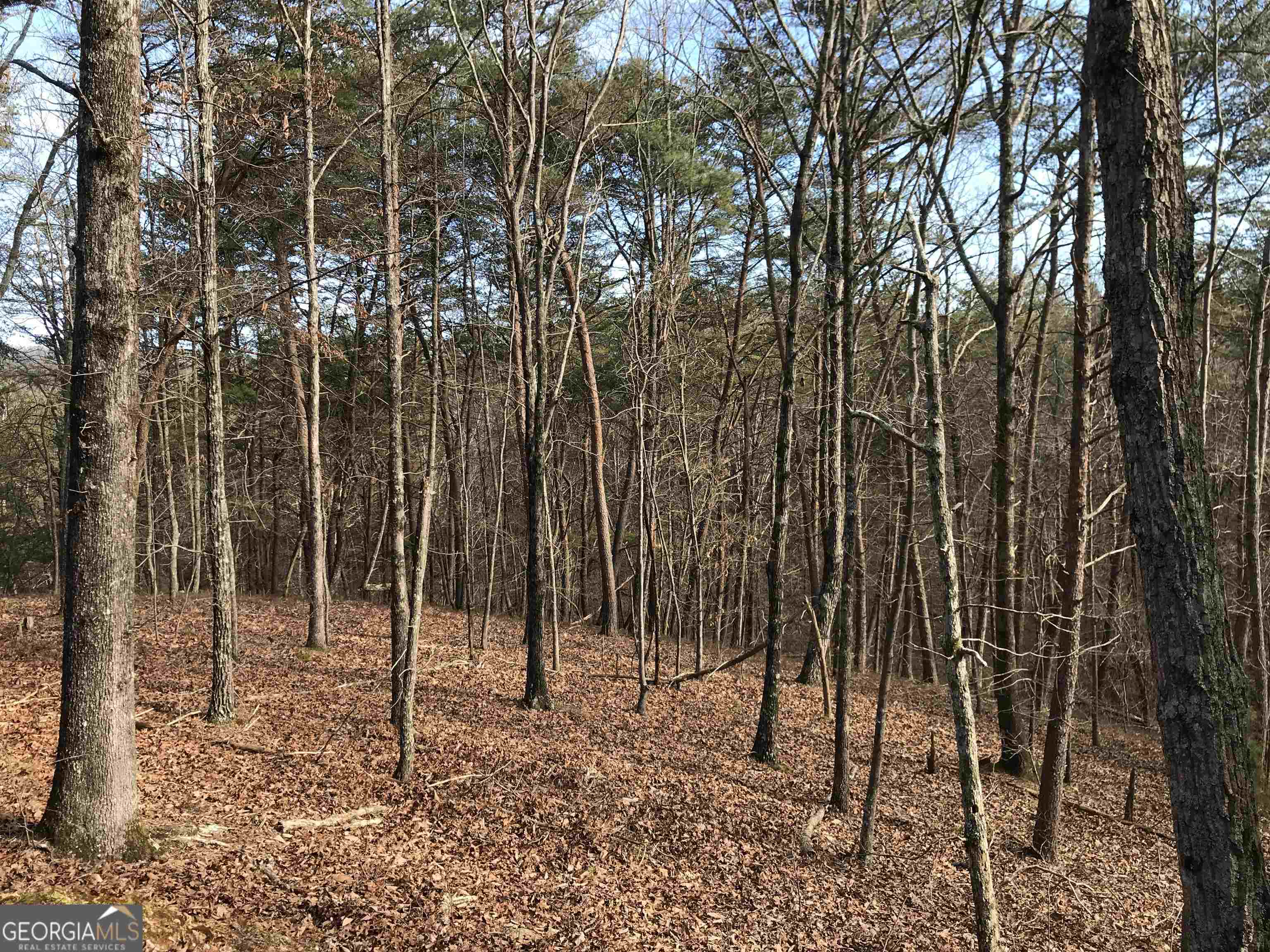 0 Liberty Church Road, Unit 9615 Ranger, GA 30734 - Photo 19 of 35 a view of a backyard