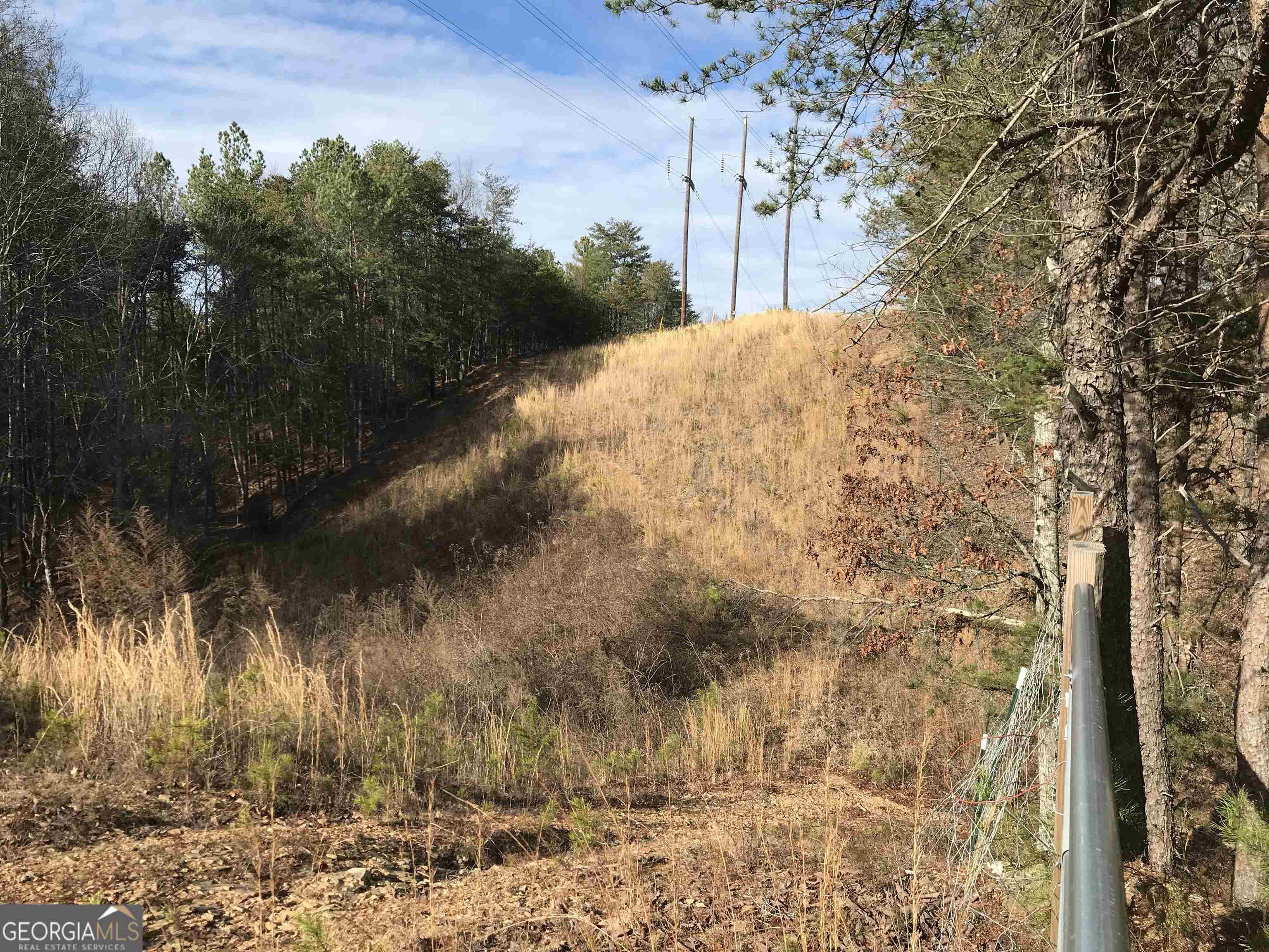 0 Liberty Church Road, Unit 9615 Ranger, GA 30734 - Photo 20 of 35 a view of a backyard of the house