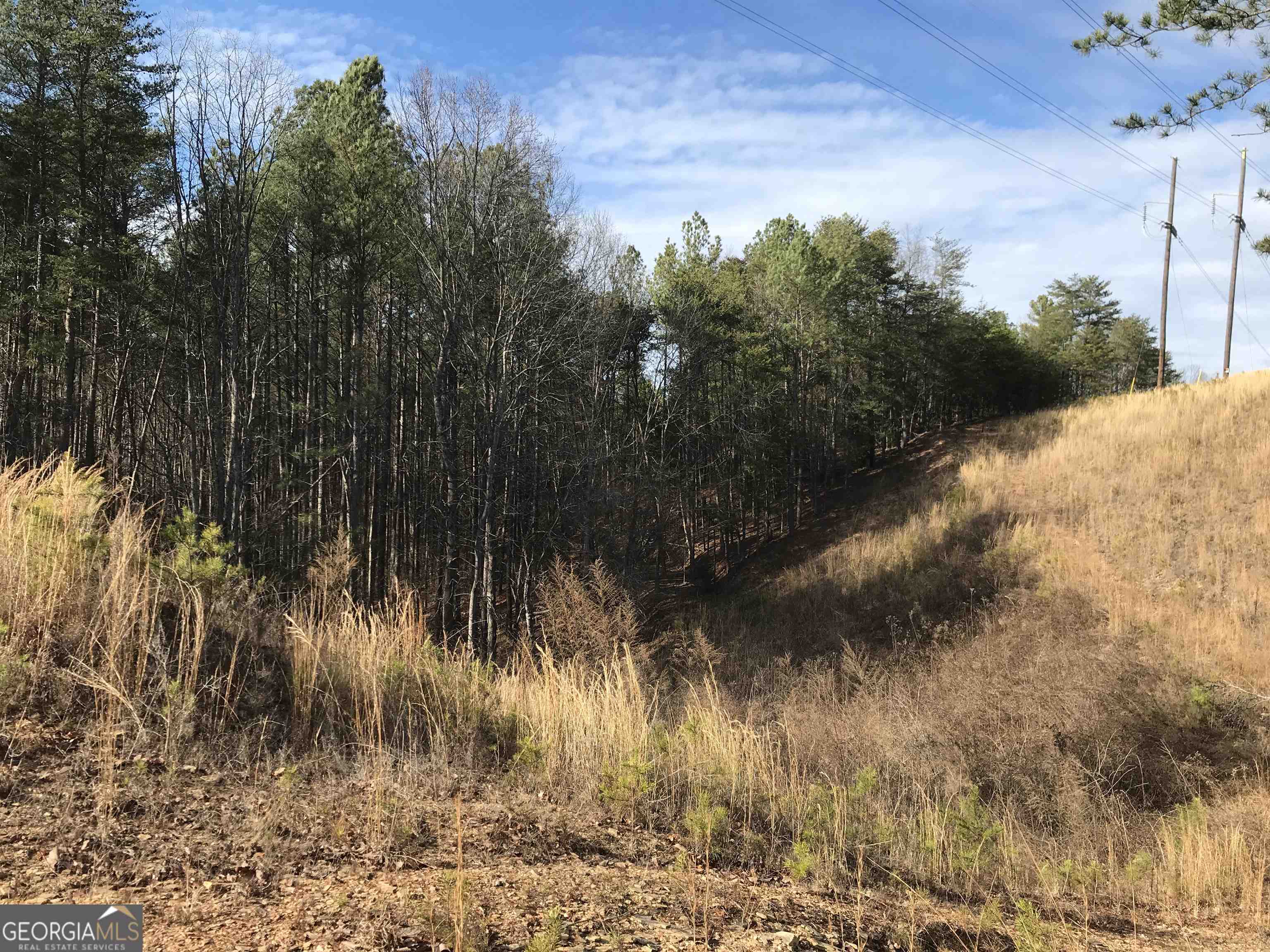 0 Liberty Church Road, Unit 9615 Ranger, GA 30734 - Photo 21 of 35 a view of a yard next to a road