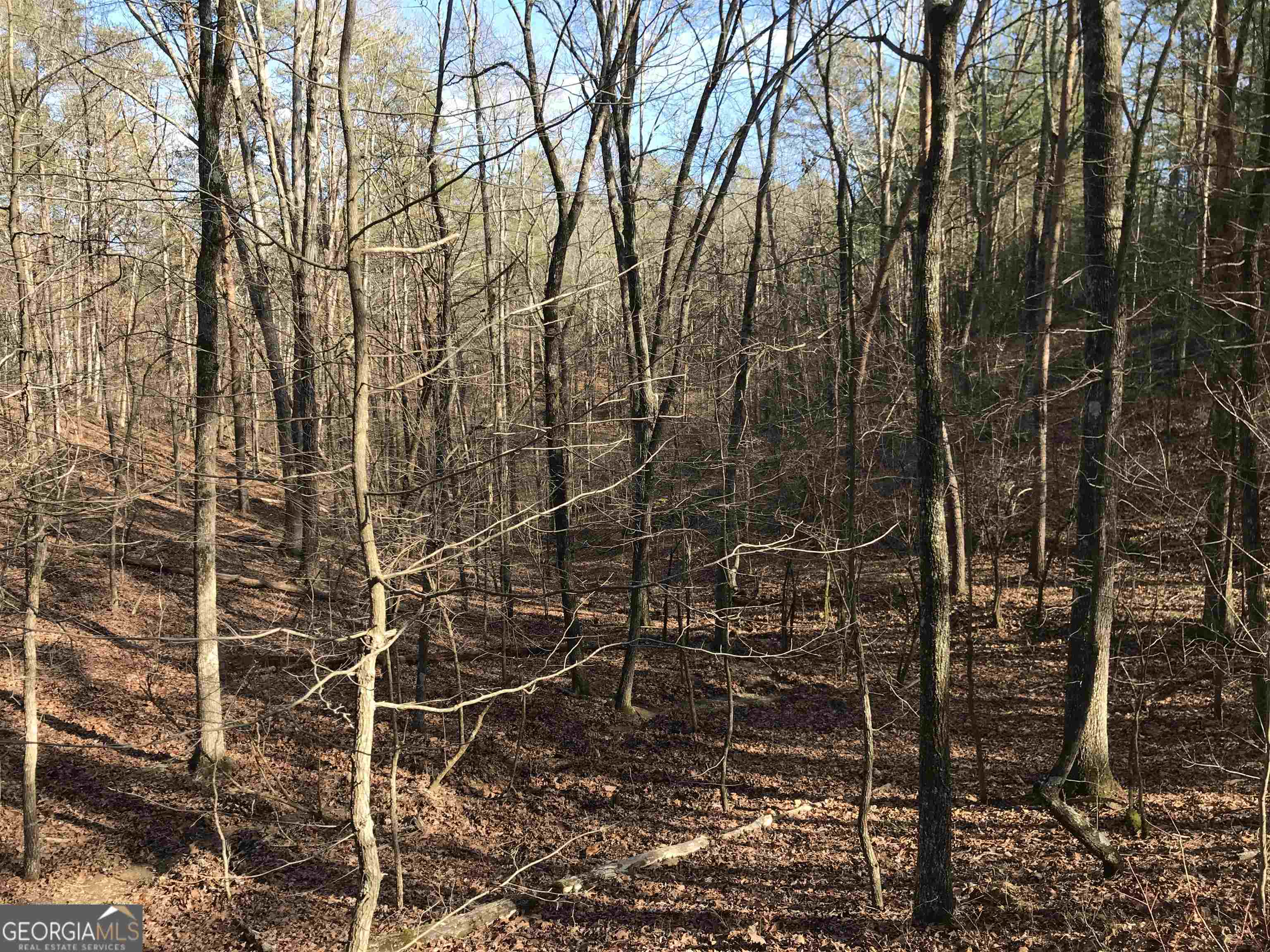 0 Liberty Church Road, Unit 9615 Ranger, GA 30734 - Photo 22 of 35