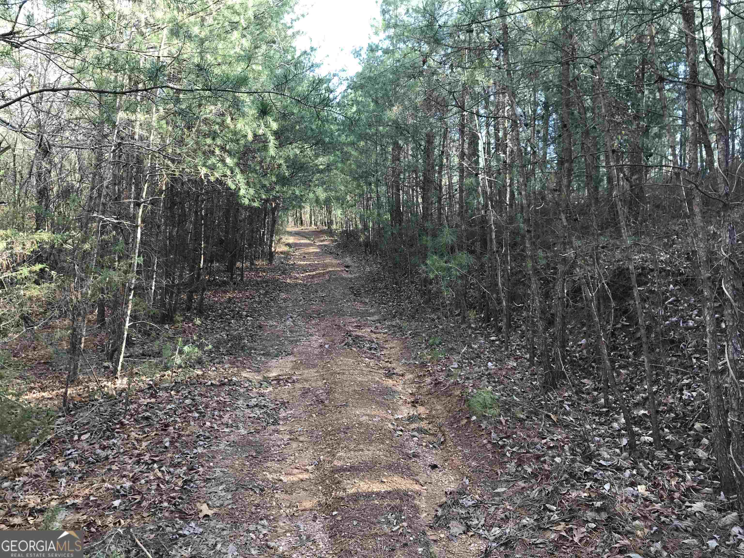 0 Liberty Church Road, Unit 9615 Ranger, GA 30734 - Photo 23 of 35 a view of a forest with trees in the background
