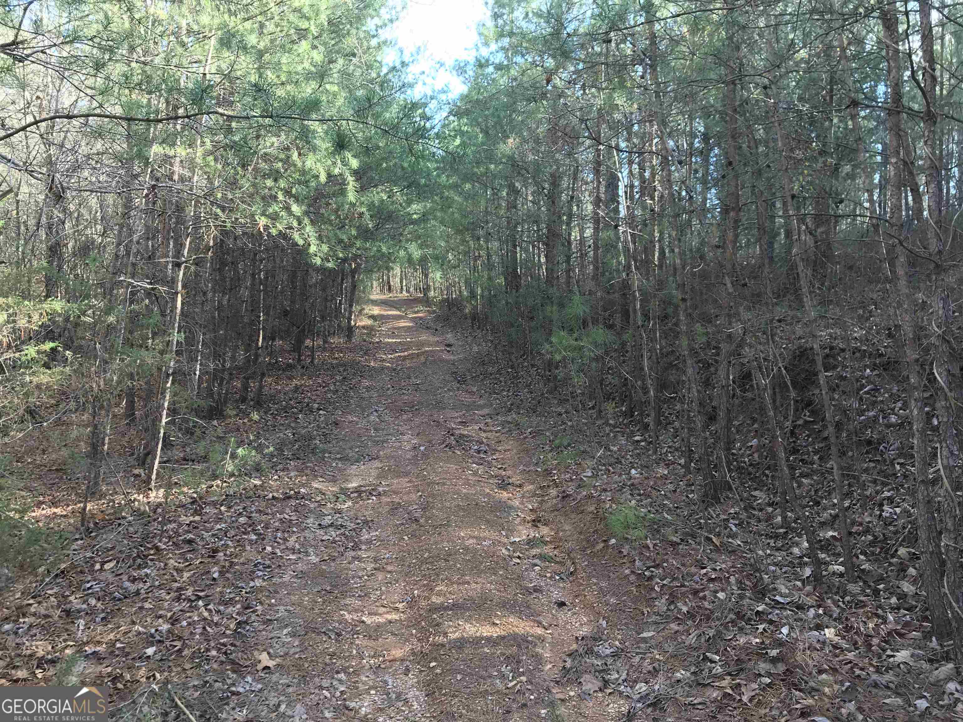 0 Liberty Church Road, Unit 9615 Ranger, GA 30734 - Photo 24 of 35 a view of a forest with trees in the background