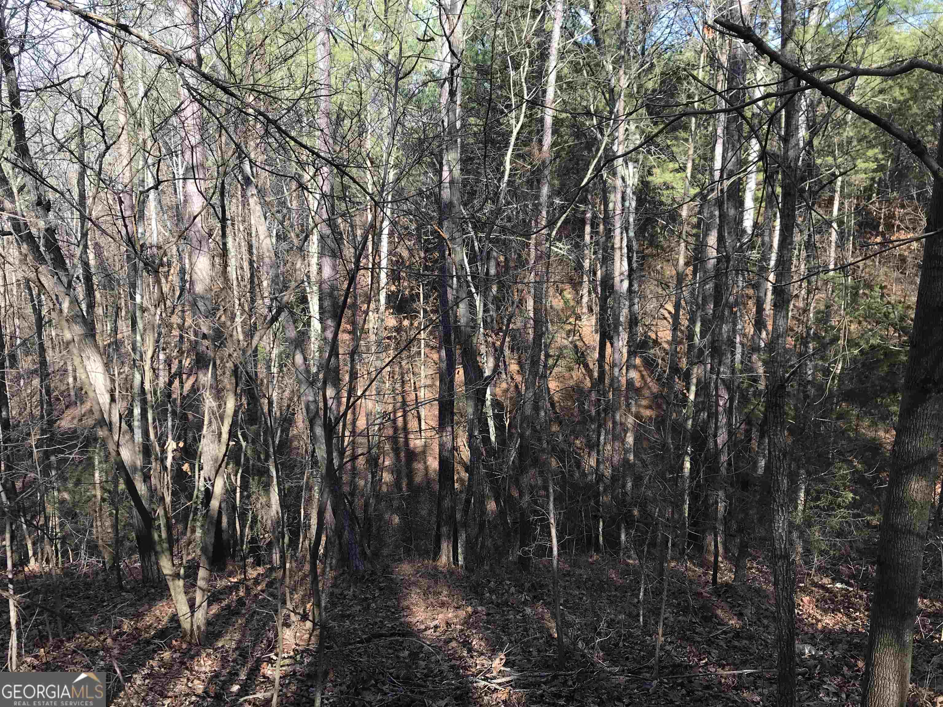 0 Liberty Church Road, Unit 9615 Ranger, GA 30734 - Photo 25 of 35 a view of forest