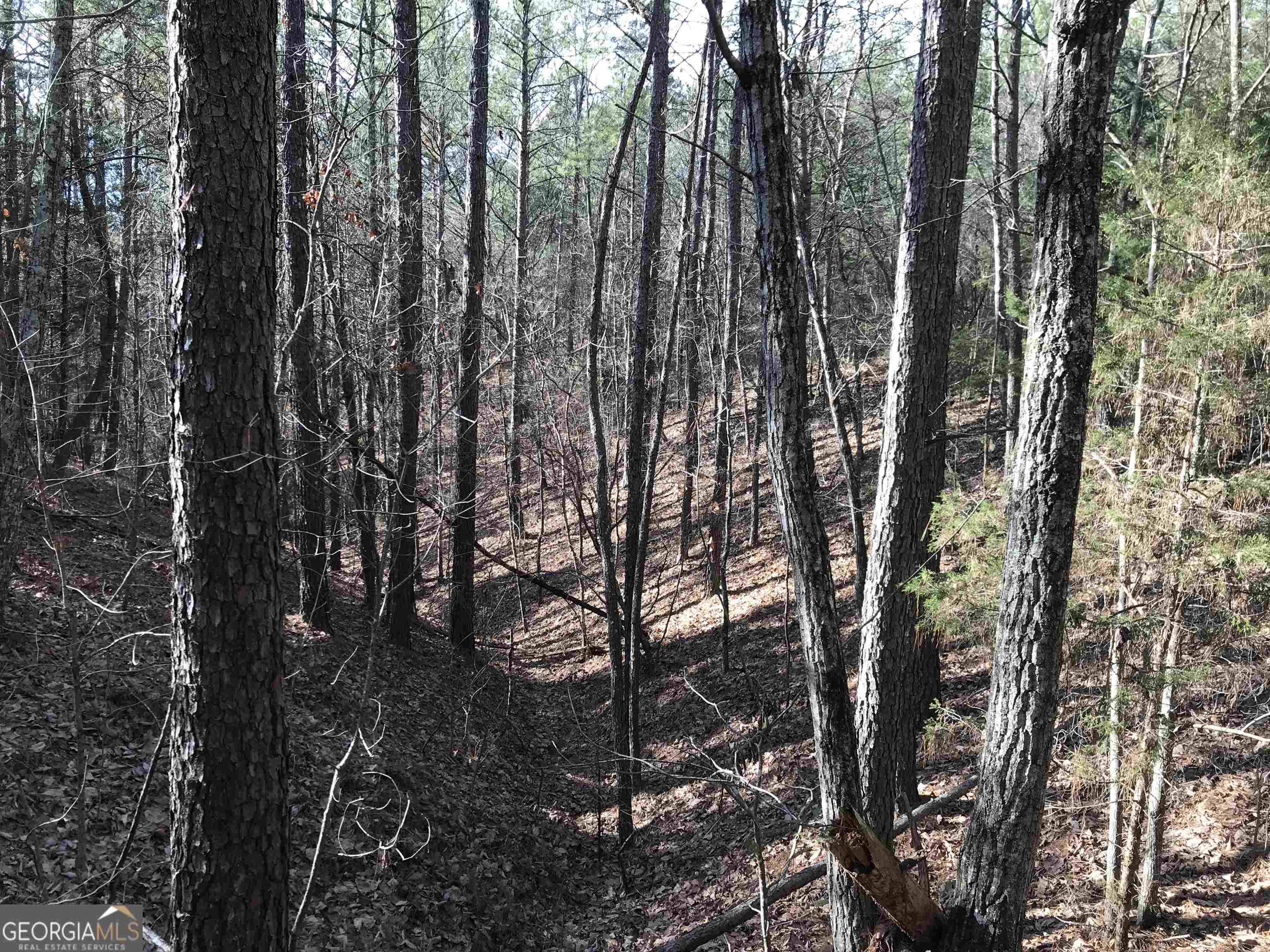 0 Liberty Church Road, Unit 9615 Ranger, GA 30734 - Photo 26 of 35