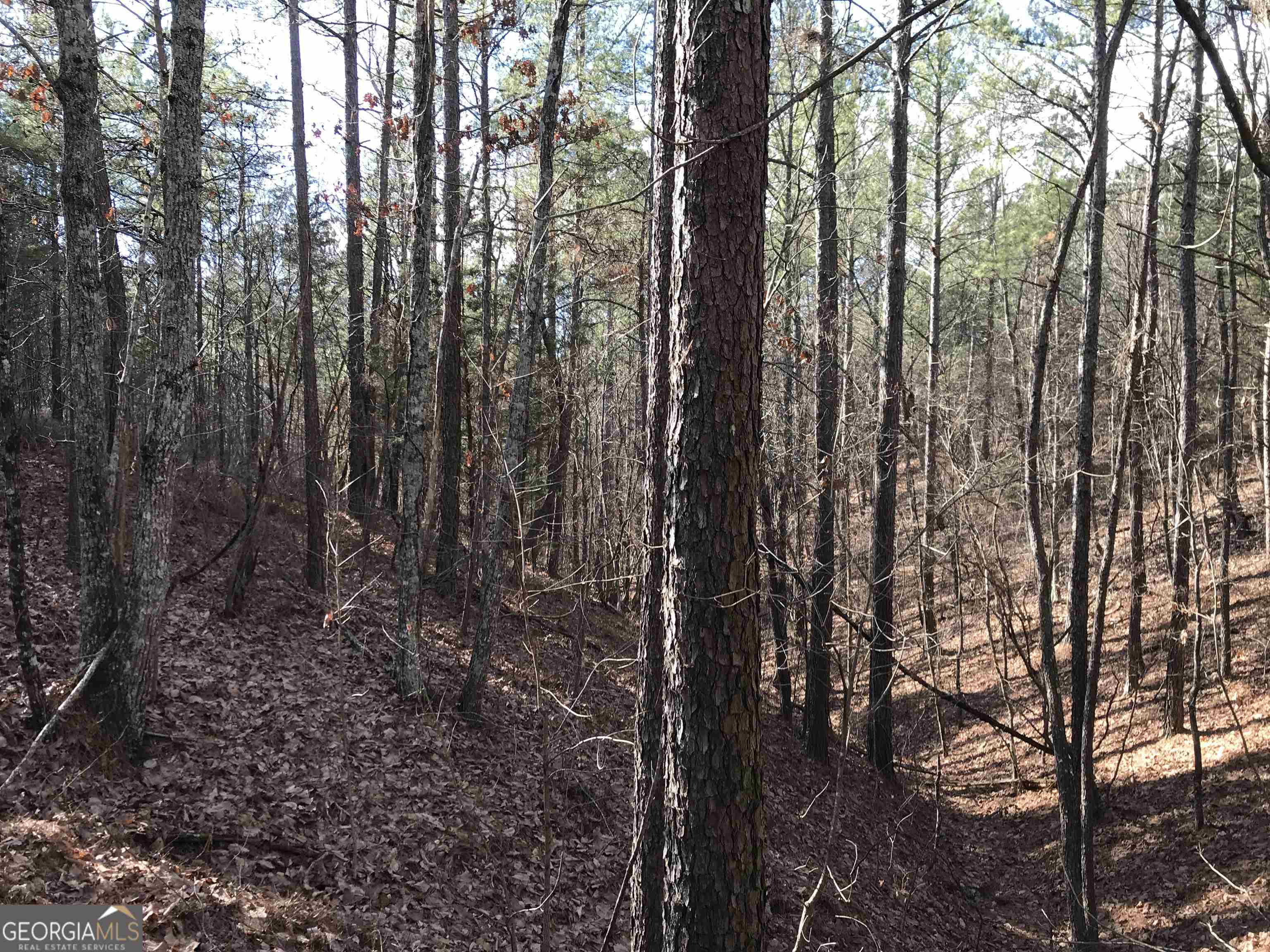 0 Liberty Church Road, Unit 9615 Ranger, GA 30734 - Photo 27 of 35 a view of outdoor space and covered with trees